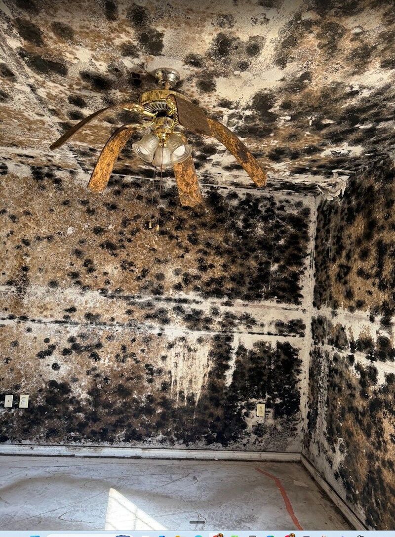 When an apartment has entered Jumanji territory.Raise your hand if you have had a unit this bad.--------------------------------------------------------------Source: Ken DobleHow do walls get to look like this? The door stayed closed for 300 days.I walk into units like this all the time in lender-owned deals.First reaction is to blame the guy who didn't fix the leak. But that leak ran for months before it made the walls look like this. It ran that long because no one opened the door.Here's what I do when I hit a new property. Pull the availability report. Walk the oldest units first. That's where the subfloor is rotting and the mold is hiding because leaks have been running unchecked since Q1.No one's been in there because no one had to.Now stack the incentive on top. The team gets a quarterly bonus based on the budget. Hard turns hurt the numbers, so the hard ones drift, the easy ones close, and the hard pile grows quietly in the units no one's opening.Blame the oniste team if you want. Yet, the actual failure was upstream. Leadership never inspected what they expected.In fairness, the ceiling fan still works.